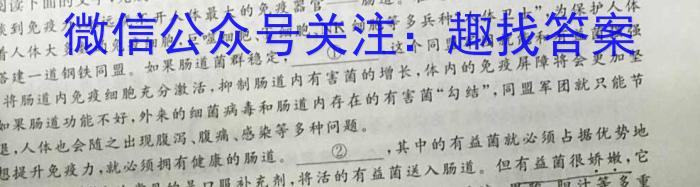 中学生标准学术能力诊断性测试2023年9月测试(新高考)语文