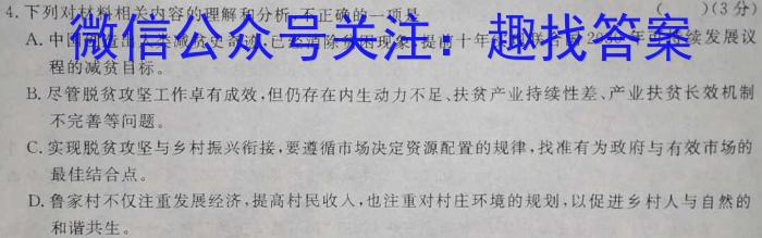 24届高三年级TOP二十名校调研考试二/语文