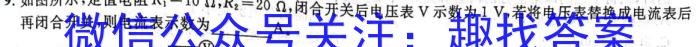 广东省东莞市大朗启东学校2023-2024学年第一学期八年级开学测试卷物理`