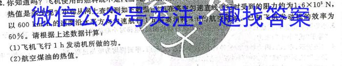 安徽省六安市2023-2024学年度九年级秋学期定时作业（一）l物理