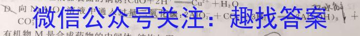 f江西省2024届九年级《学业测评》分段训练（一）化学