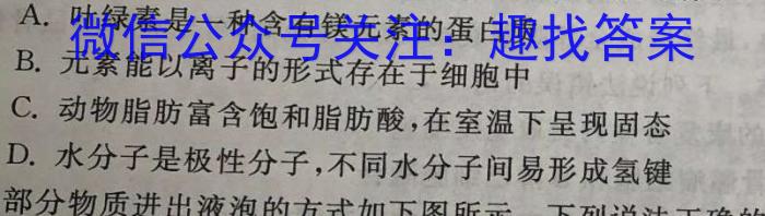 安徽省六安市2023-2024学年度九年级秋学期定时作业（一）生物试卷答案