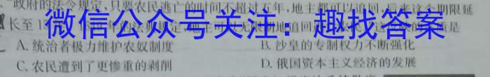 百师联盟2025届高二年级模拟考试（湖南卷）历史
