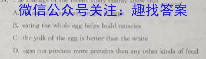 河北省2024届高三年级开学检测（9月）英语