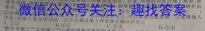 2024年广东省初中学业水平模拟联考(三)政治~