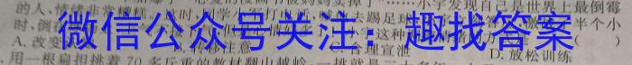 2024届高三11月大联考（新教材）政治~