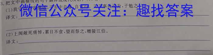 2023-2024学年高三第二次联考（月考）新教材/语文