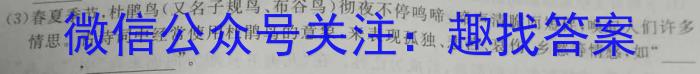 江西省2024届高三试卷9月联考(铅笔 JX)/语文