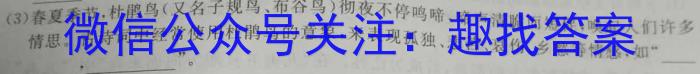 学科网2024届高三10月大联考(全国乙卷)/语文