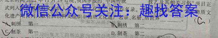 安徽省六安市某校2024届初三阶段性目标检测（五）政治y