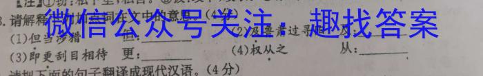 河北省新时代NT教育2023-2024学年第一学期9月高三阶段测试卷/语文