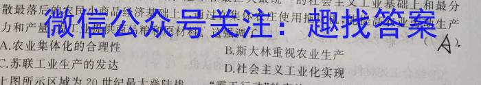 ［河北大联考］河北省2025届高二年级9月联考历史试卷