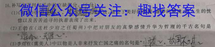 河南省2024届新高考8月起点摸底大联考语文