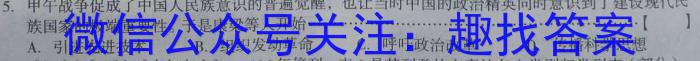 山西省晋中市现代双语学校2024届初三年级暑假作业验收历史