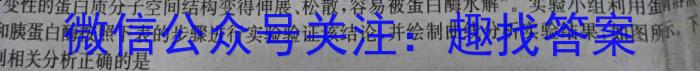 天一大联考2023-2024学年高三年级阶段性测试(一)生物试卷答案