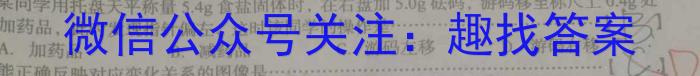3河南省郑州市东枫外国语学校2023-2024-1九年级开学初（开学考试）化学