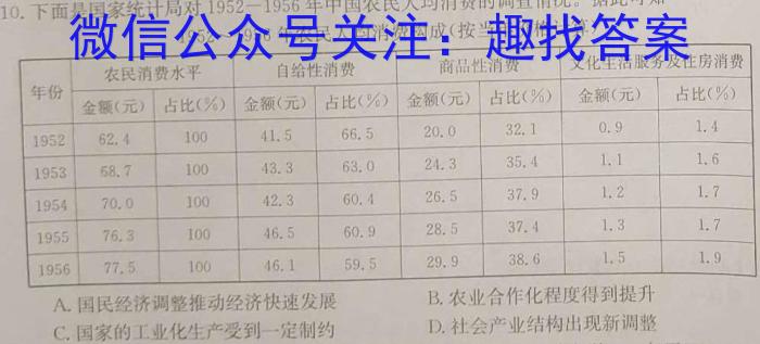 2024届安徽T12教育九年级第一次调研模拟卷历史