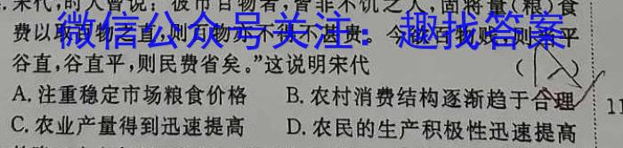 安徽省2023-2024学年高二上开学考检测卷历史试卷