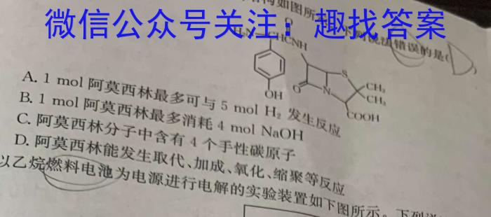 吉林省"BEST合作体"2024-2023学年度高一年级下学期期末化学