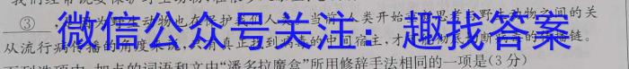 湘西自治州普通高中2023年高二上学期期末质量检测试题卷语文