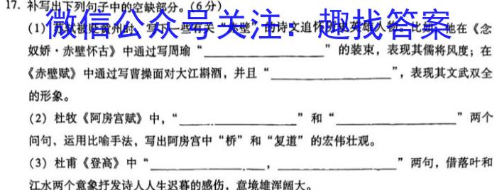 2024届名师原创分科模拟 新S4(六)语文