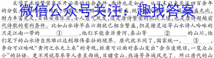 全国大联考 2024届高三第二次联考 2LK-Y语文