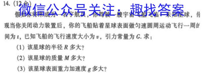 2024届名师原创分科模拟 新S4(八)l物理