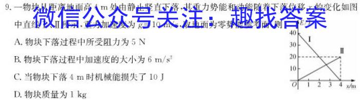 贵州省毕节二中2022年秋季学期高一年级期末考试(3250A)l物理