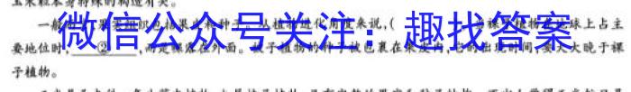 2024届分科综合检测卷(四)语文