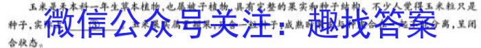 湖北省2024届高三年级8月联考（24-03C）语文