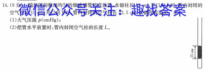 2024届分科综合检测卷(五)物理.