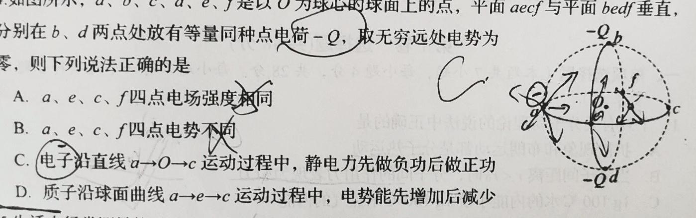 2024届高考滚动检测卷 新教材(一)-物理