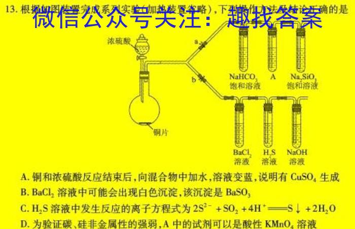 2024届名师原创分科模拟(四)ZS4化学