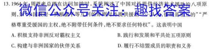 2024届高考滚动检测卷 新教材(六)历史