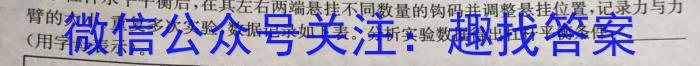 ［百校联考］2024届广东省高三年级上学期8月联考（开学考）l物理