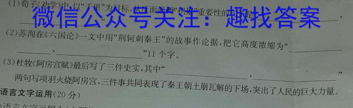 河南2024届高三年级8月入学联考（23-10C）文科数学试卷及参考答案语文