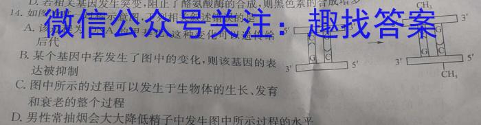 2024届高考滚动检测卷 新教材(六)生物