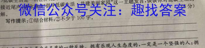 江西省新余市2023-2024学年度实验中学初三入学（考试）测试语文