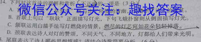 河南省通义大联考2023-2024学年高三8月第一次联考语文