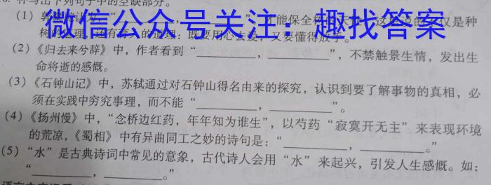 2024届分科综合检测卷(四)语文