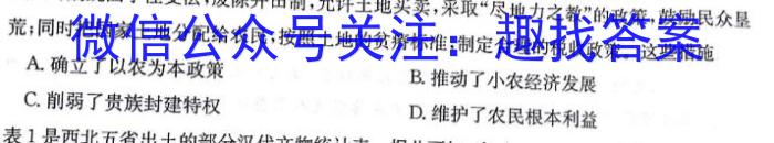 2024届分科综合检测卷(一)历史