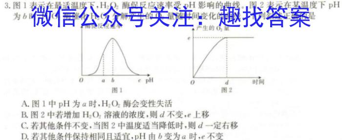 2024届分科综合检测卷(三)生物