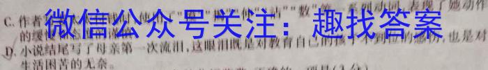 山西省临汾市襄汾县2022-2023学年度第二学期素养形成期末调研测试（D套）语文