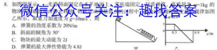 2024届名师原创分科模拟(二)ZS4z物理