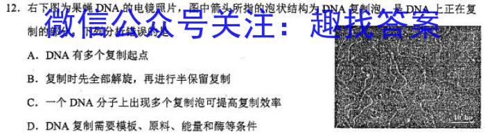 山西省朔州市2024-2023学年度七年级下学期期末学情调研测试题生物