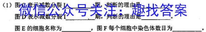 2024届高考滚动检测卷 新教材(四)生物试卷答案