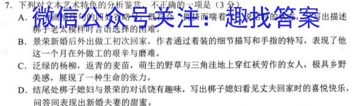 2024届贵州省六校联盟高考实用性联考（一）语文