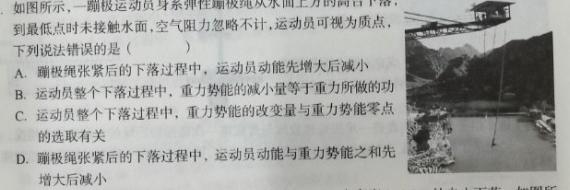 2024届分科综合检测卷(四)-物理