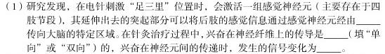 2024届广东省广州市高三年级8月开学考生物