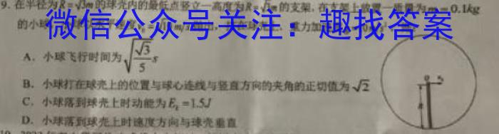 炎德英才大联考 长郡中学2024届高三月考试卷(一)物理`